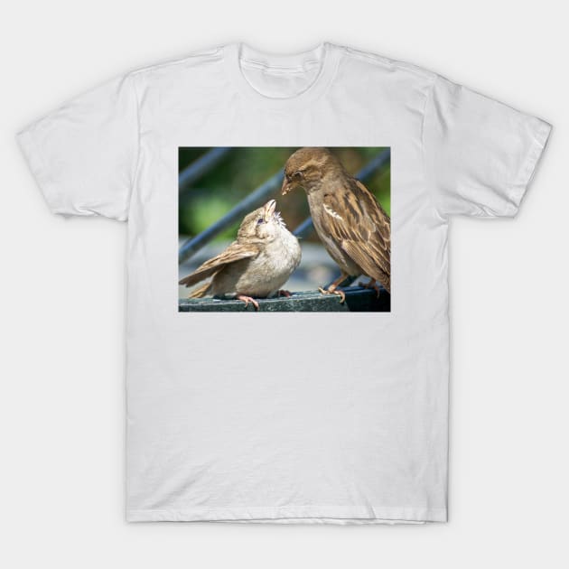 cli feeding time T-Shirt by pcfyi